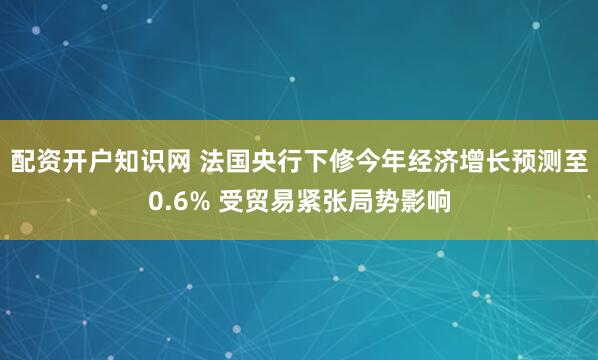 配资开户知识网 法国央行下修今年经济增长预测至0.6% 受贸易紧张局势影响