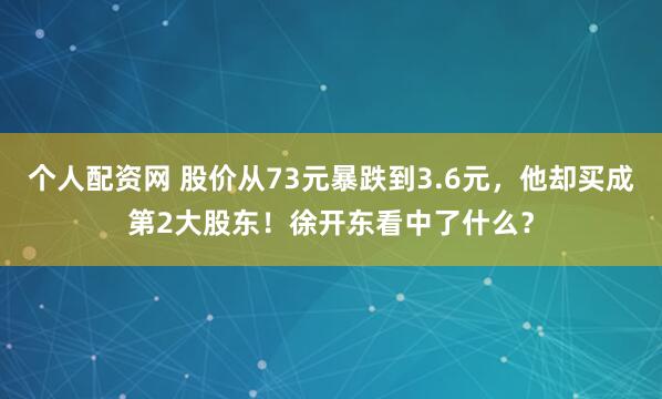 个人配资网 股价从73元暴跌到3.6元，他却买成第2大股东！徐开东看中了什么？