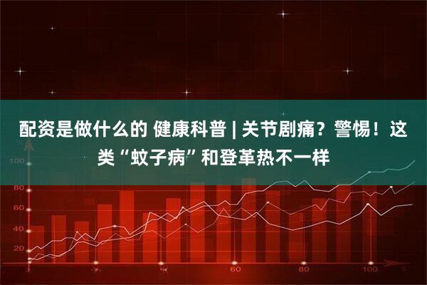 配资是做什么的 健康科普 | 关节剧痛？警惕！这类“蚊子病”和登革热不一样