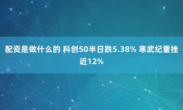 配资是做什么的 科创50半日跌5.38% 寒武纪重挫近12%